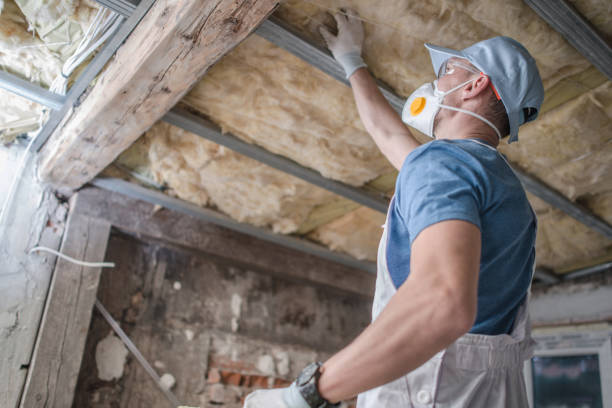 Best Types of Insulation in Lla Lla East, WA